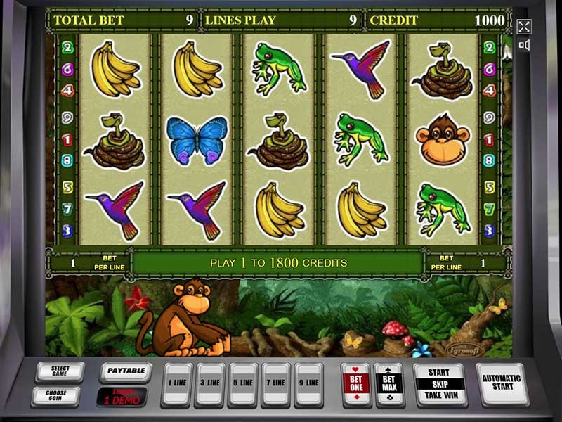 казино вулкан обезьянки бесплатно играть
